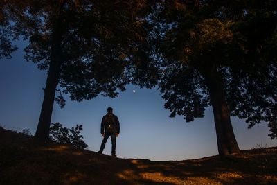 Full length rear view of man standing by trees in forest during dusk