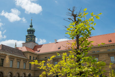 Low angle view of yellow tree by building against sky