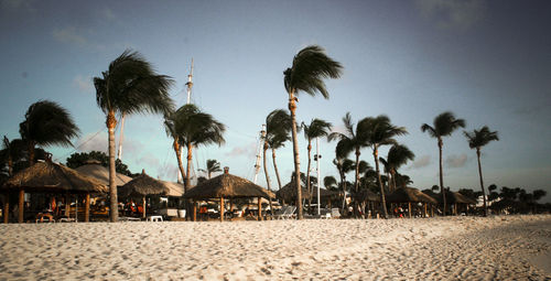 Palm trees and thatched roofs at beach