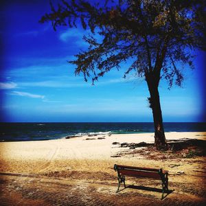 Bench on tree by sea against blue sky