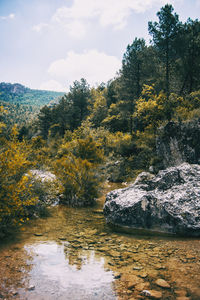 Scenic view of waterfall in forest against sky