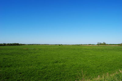 Scenic view of field against clear blue sky