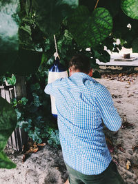 Rear view of man standing by tree