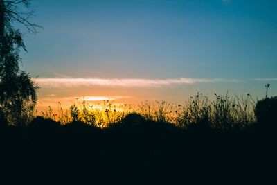 Silhouette trees on landscape against sky at sunset