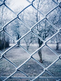 Close-up of chainlink fence