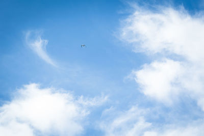 Low angle view of airplane flying in sky