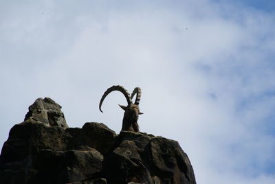 Low angle view of ibex on rock against cloudy sky