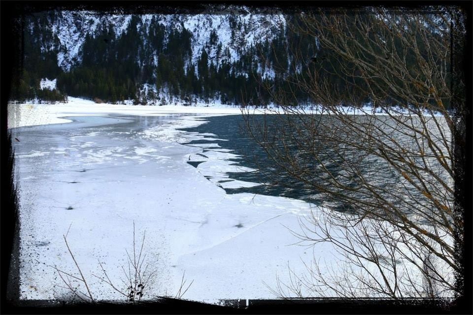 transfer print, water, tree, tranquility, tranquil scene, auto post production filter, reflection, scenics, nature, lake, beauty in nature, bare tree, branch, sky, river, day, outdoors, no people, growth, idyllic