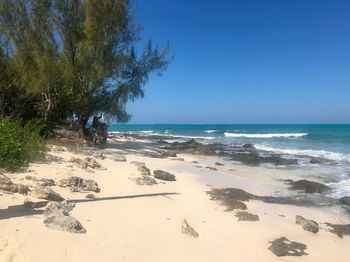 Scenic view of beach against clear blue sky