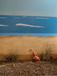 View of people on beach