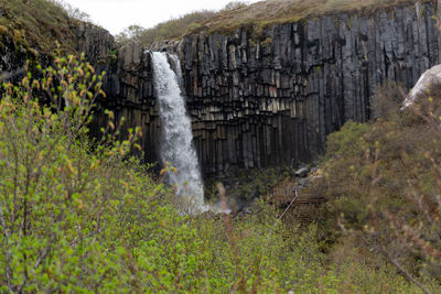 Scenic view of waterfall