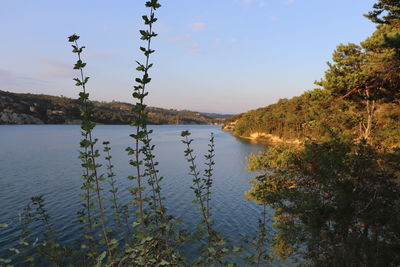 Scenic view of lake against sky