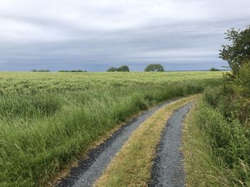 Scenic view of road amidst field against sky