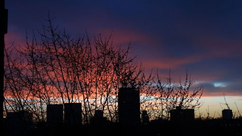 Low angle view of silhouette trees against sky at sunset