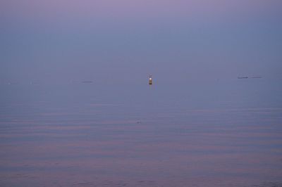 Bird flying over lake against sky