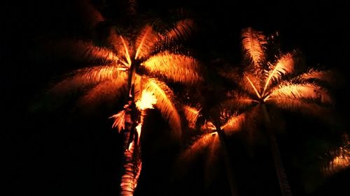 Low angle view of firework display at night