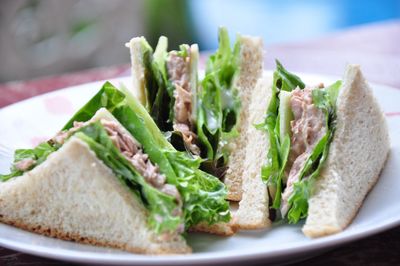 Close-up of food in plate