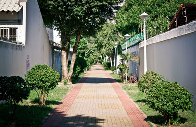 Walkway amidst trees in city against sky