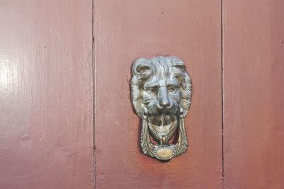 Close-up of cat on door