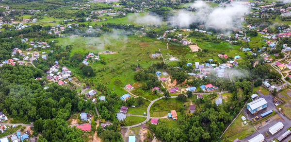 High angle view of trees and buildings in city