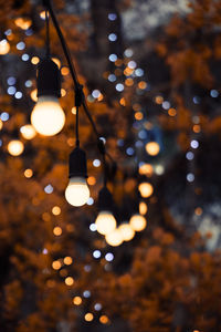 Low angle view of illuminated light bulbs