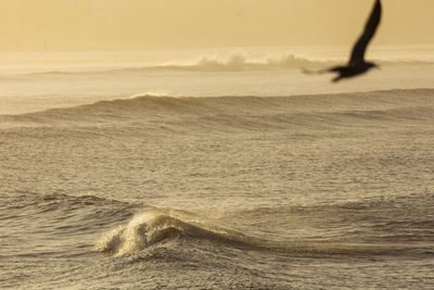 Scenic view of seascape during sunset