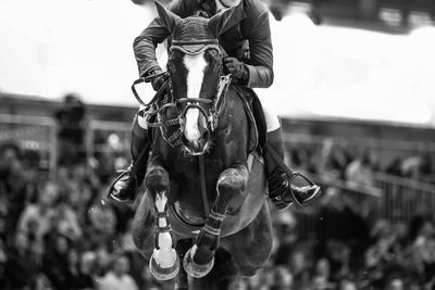 Horse jumping, equestrian sports themed photograph in black and white.