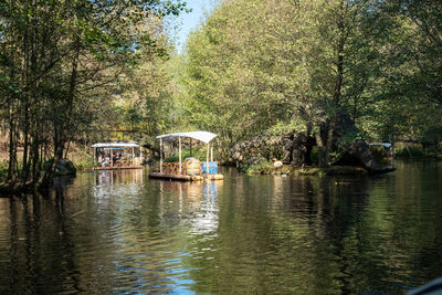 Scenic view of lake in forest