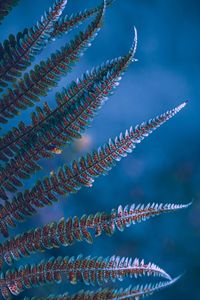 Low angle view of blue sky