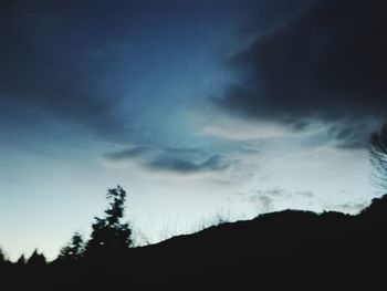 Low angle view of silhouette tree against sky at night