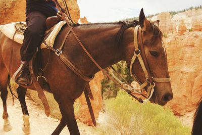 Low section of man riding horse