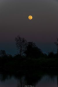 Scenic view of lake against sky at night