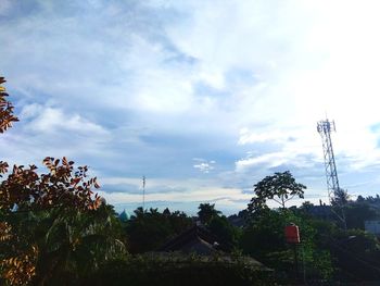 Trees against sky