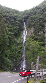 View of waterfall against trees