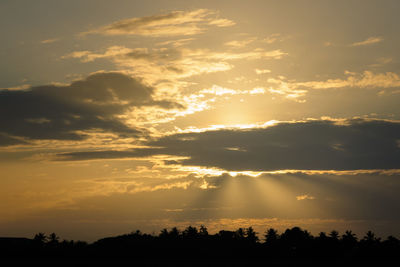 Low angle view of silhouette trees against sky during sunset