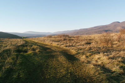 Scenic view of field against clear sky