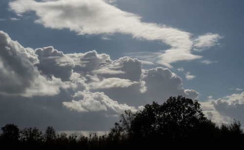 Low angle view of trees against sky