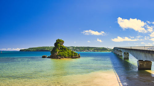 Beautiful coral reef sea of okinawa