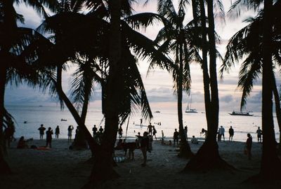 Silhouette palm trees on beach against sky