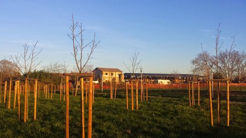 View of fence against clear blue sky