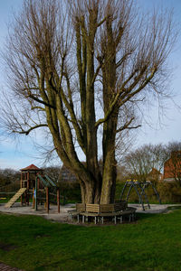 Empty bench in park