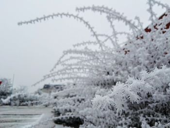 Close-up of snow against sky