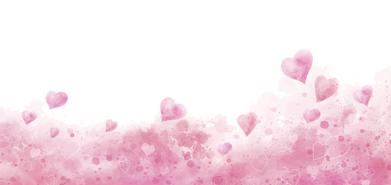 PINK ROSES AGAINST WHITE BACKGROUND