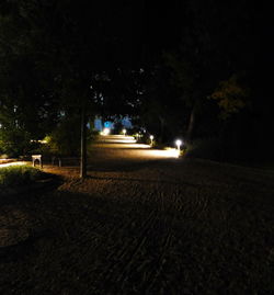 View of trees at night