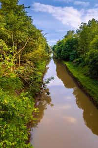 Scenic view of lake amidst trees against sky
