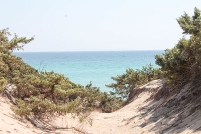 Scenic view of sea against clear sky