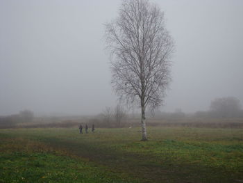 Trees on field against sky during foggy weather