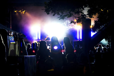 Group of people at concert