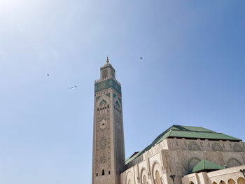 Birds flying over hassan ii mosque in casablanca