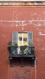 Potted plants on wall of building